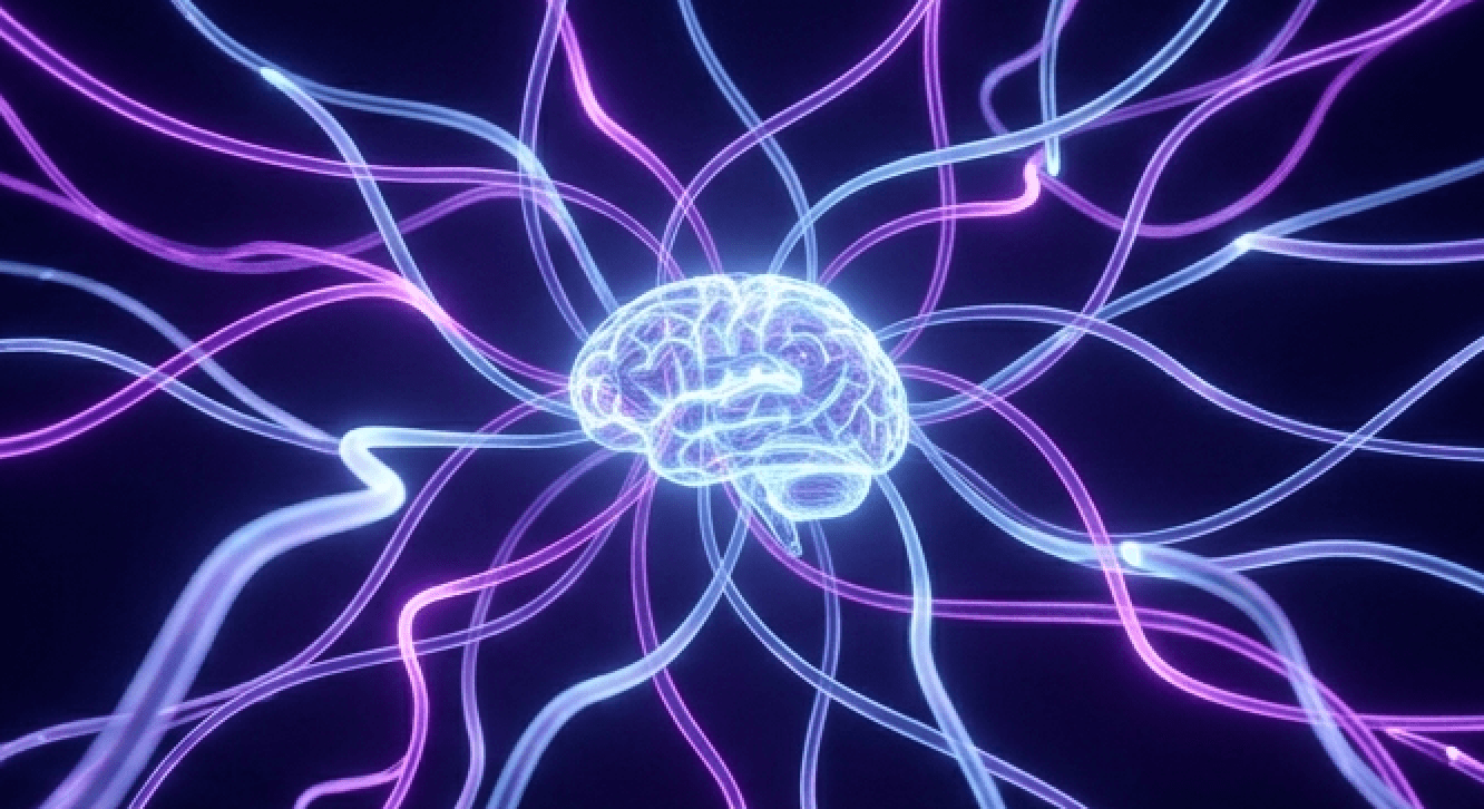 AI წვრთნა